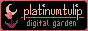 image: a small button with a tulip and a crescent moon. it reads "platinumtulip: digital garden"