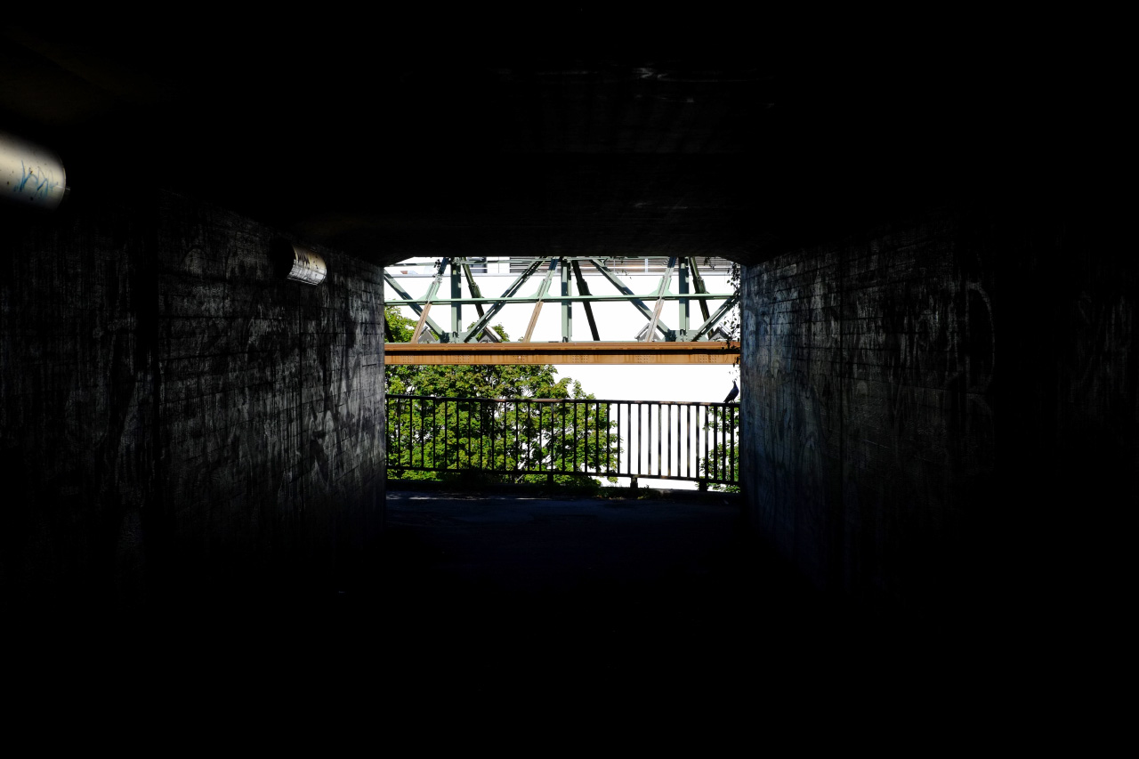 A photo of a white wall and a couple of tree branches visible through a dark tunnel.