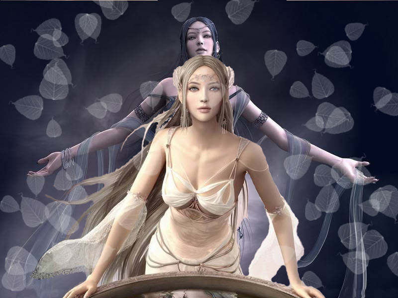A digital collage of two 3d rendered women characters with elf ears standing one behind another and looking at the viewer. The one in front has white hair, skin, and a white dress, and the one in the back has black hair, lavender-ish skin and a black dress. The collage is decorated with white semi-transparent leaves.
