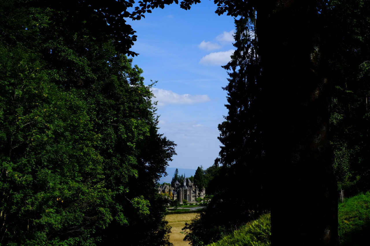 A photo of a small castle in the background that is visible down a forest trail among the forest trees.