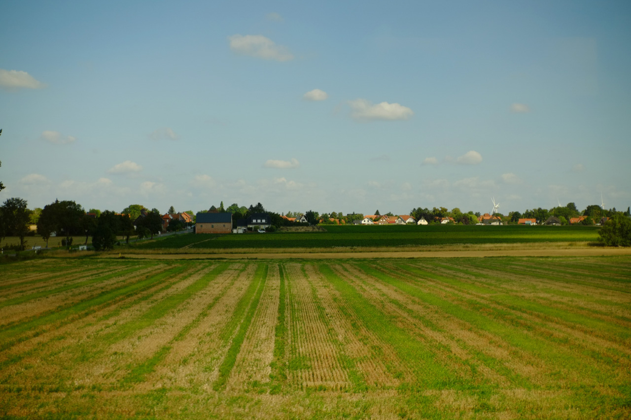 A photo of an agricultural field shot through a train window, featuring a German village in the background.
