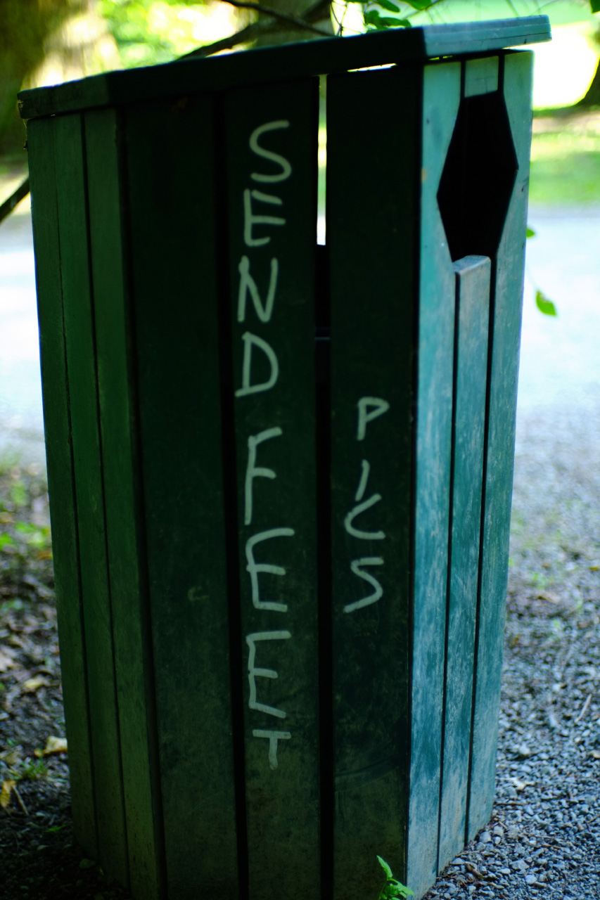 A photo of a green wooden trash can with the following words written on it: send feet pics.