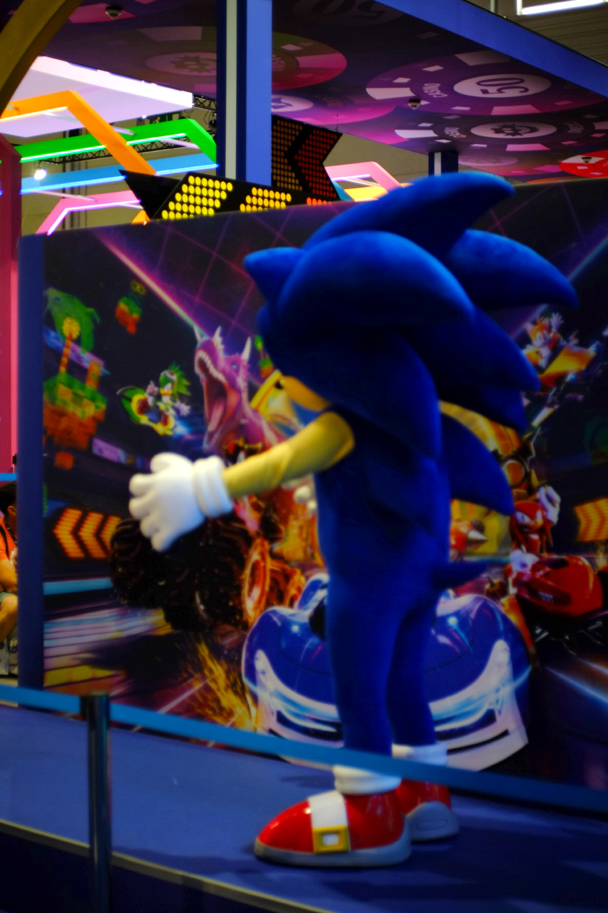 A photo of a booth worker in a Sonic the Hedgehog mascot costume standing on a podium with arms open for a visitor to hug them.